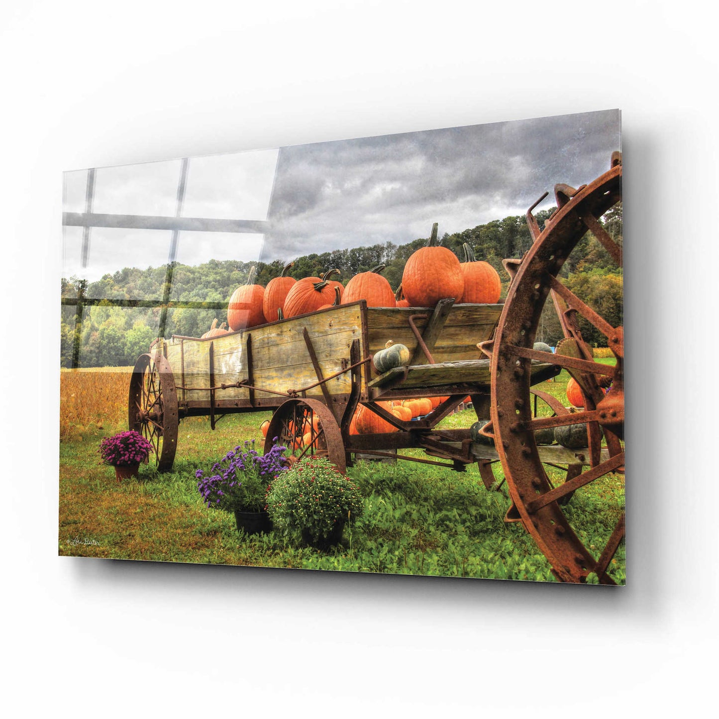 Epic Art 'Pumpkin Wagon' by Lori Deiter Acrylic Glass Wall Art,16x12