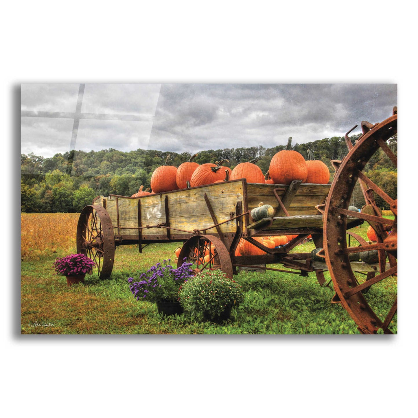 Epic Art 'Pumpkin Wagon' by Lori Deiter Acrylic Glass Wall Art,16x12