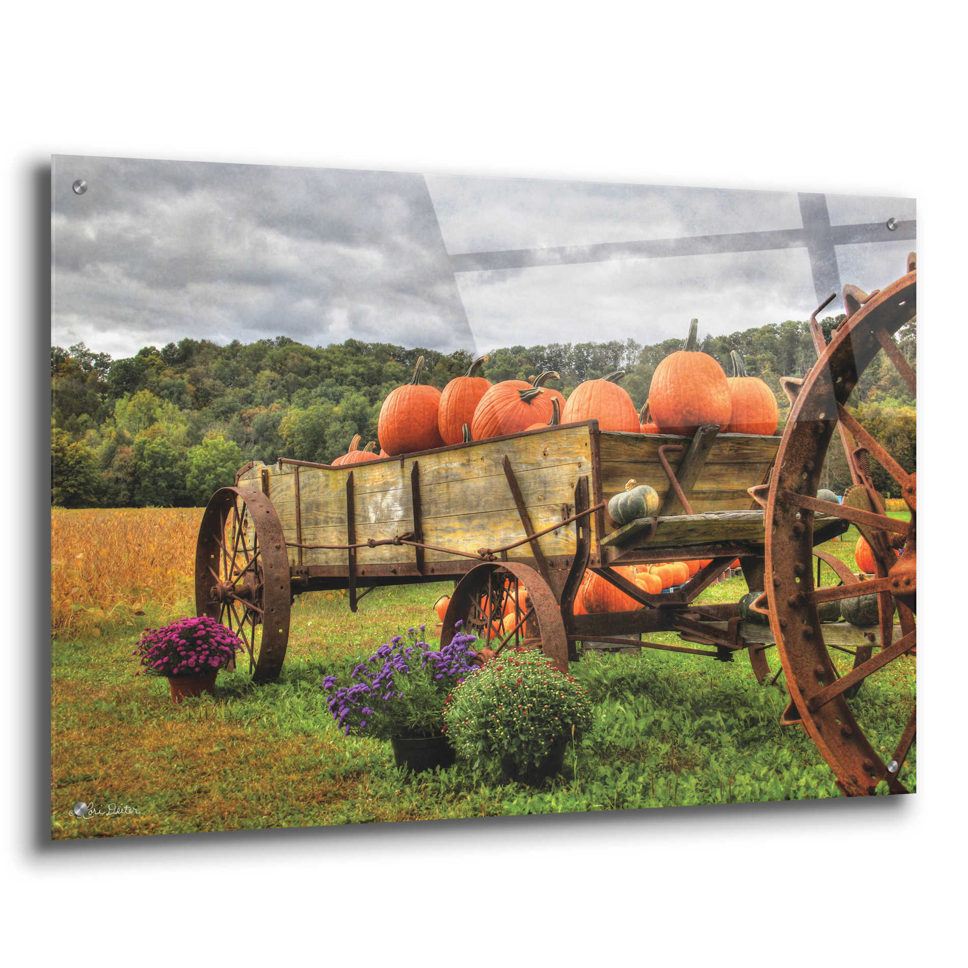 Epic Art 'Pumpkin Wagon' by Lori Deiter Acrylic Glass Wall Art,36x24