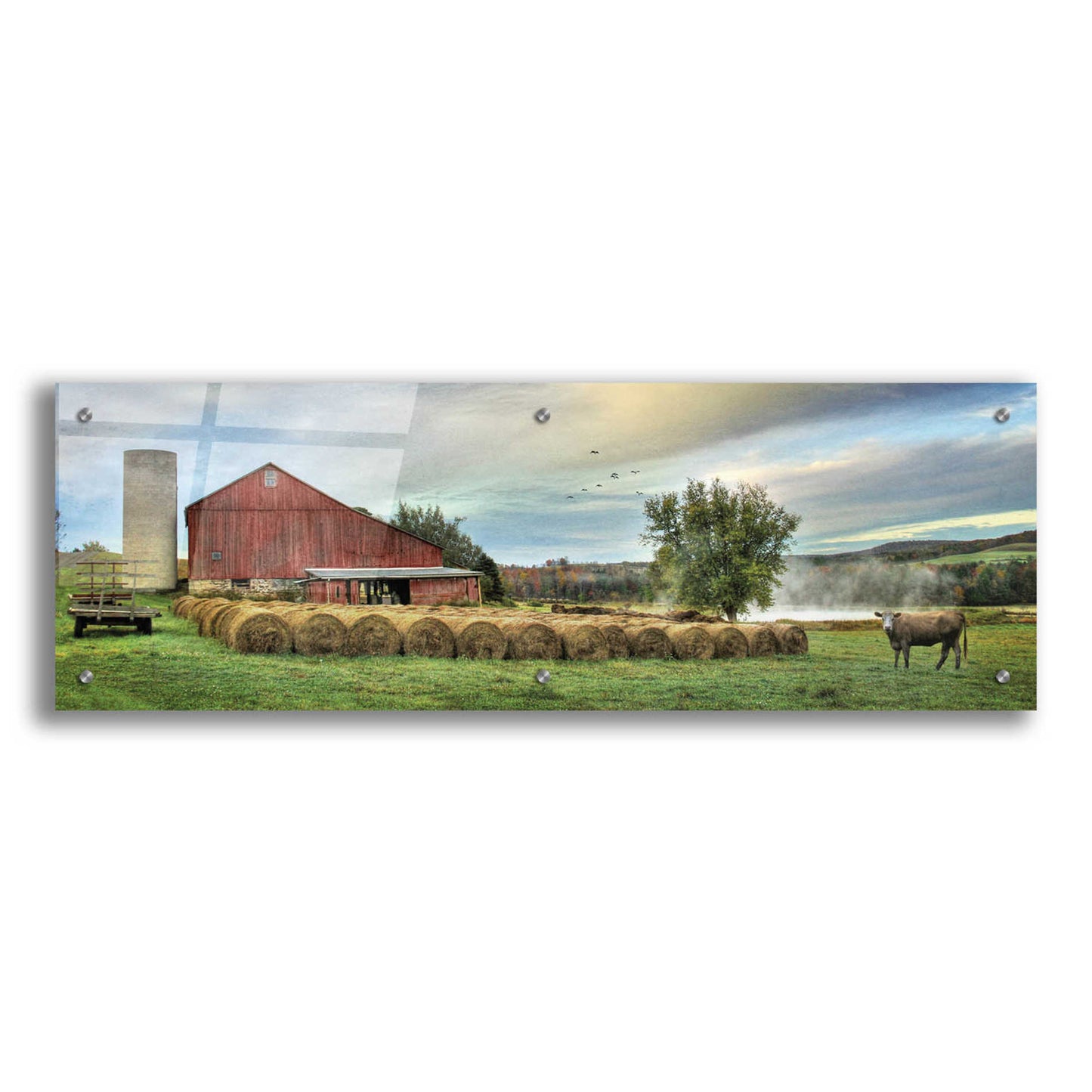Epic Art 'Hay Harvest' by Lori Deiter Acrylic Glass Wall Art,36x12