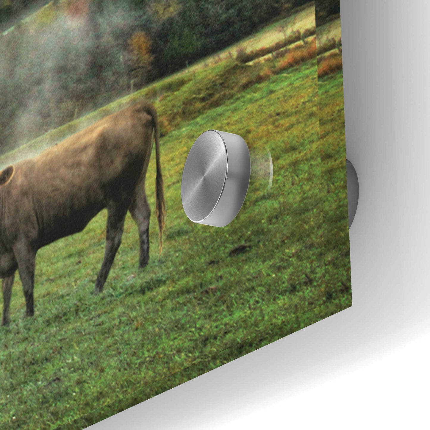 Epic Art 'Hay Harvest' by Lori Deiter Acrylic Glass Wall Art,48x16