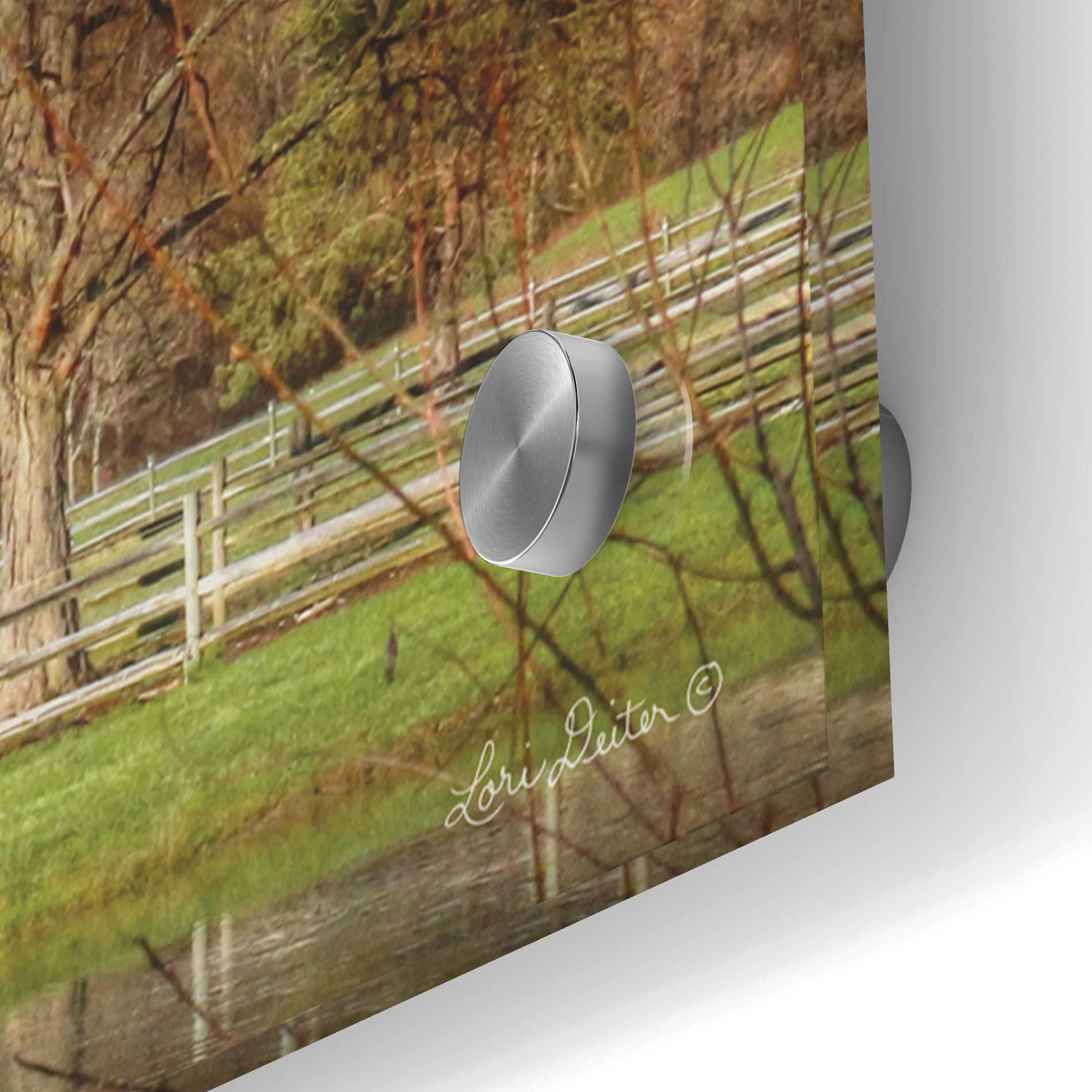 Epic Art 'Starr Farm' by Lori Deiter Acrylic Glass Wall Art,48x16