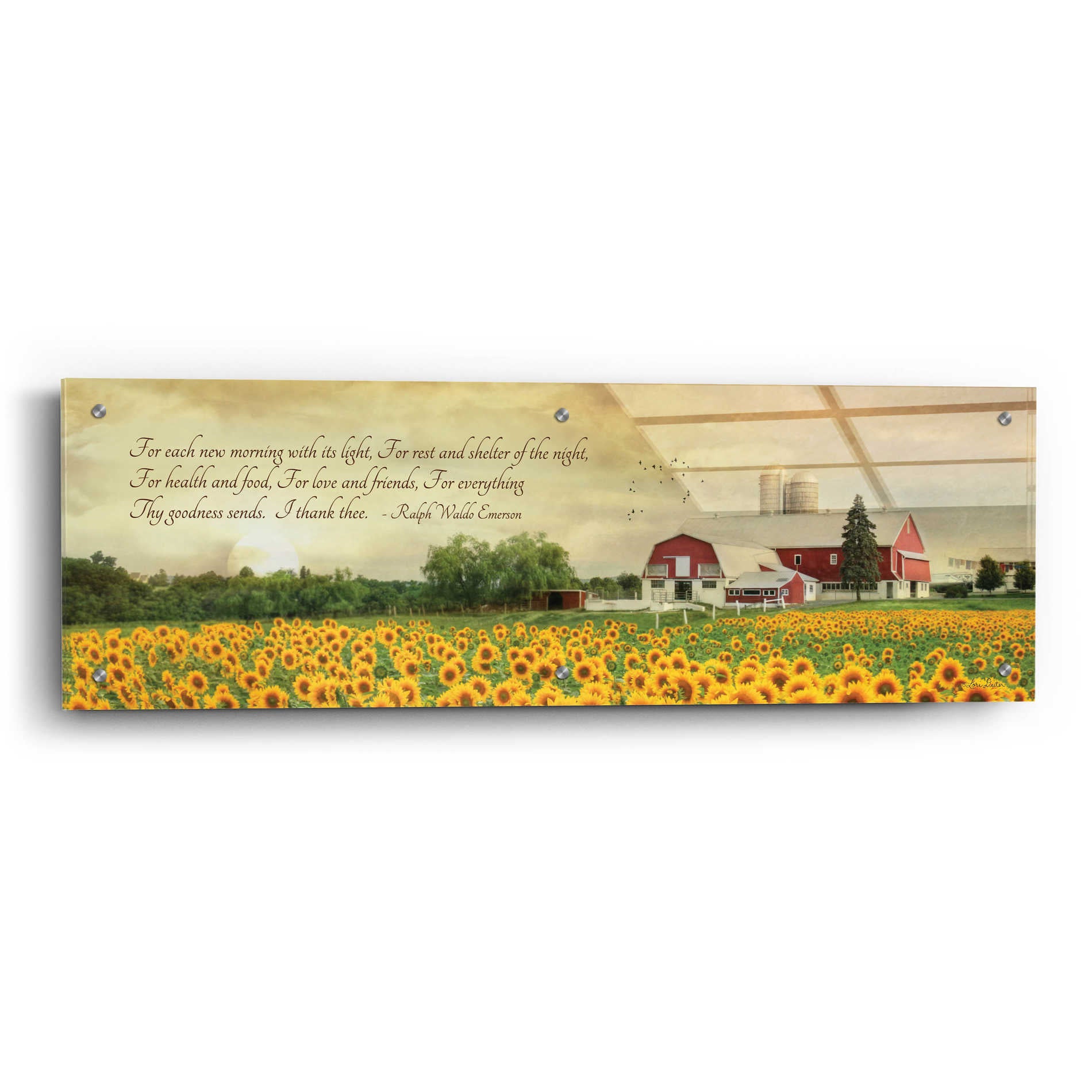 Epic Art 'I Thank Thee' by Lori Deiter Acrylic Glass Wall Art,36x12