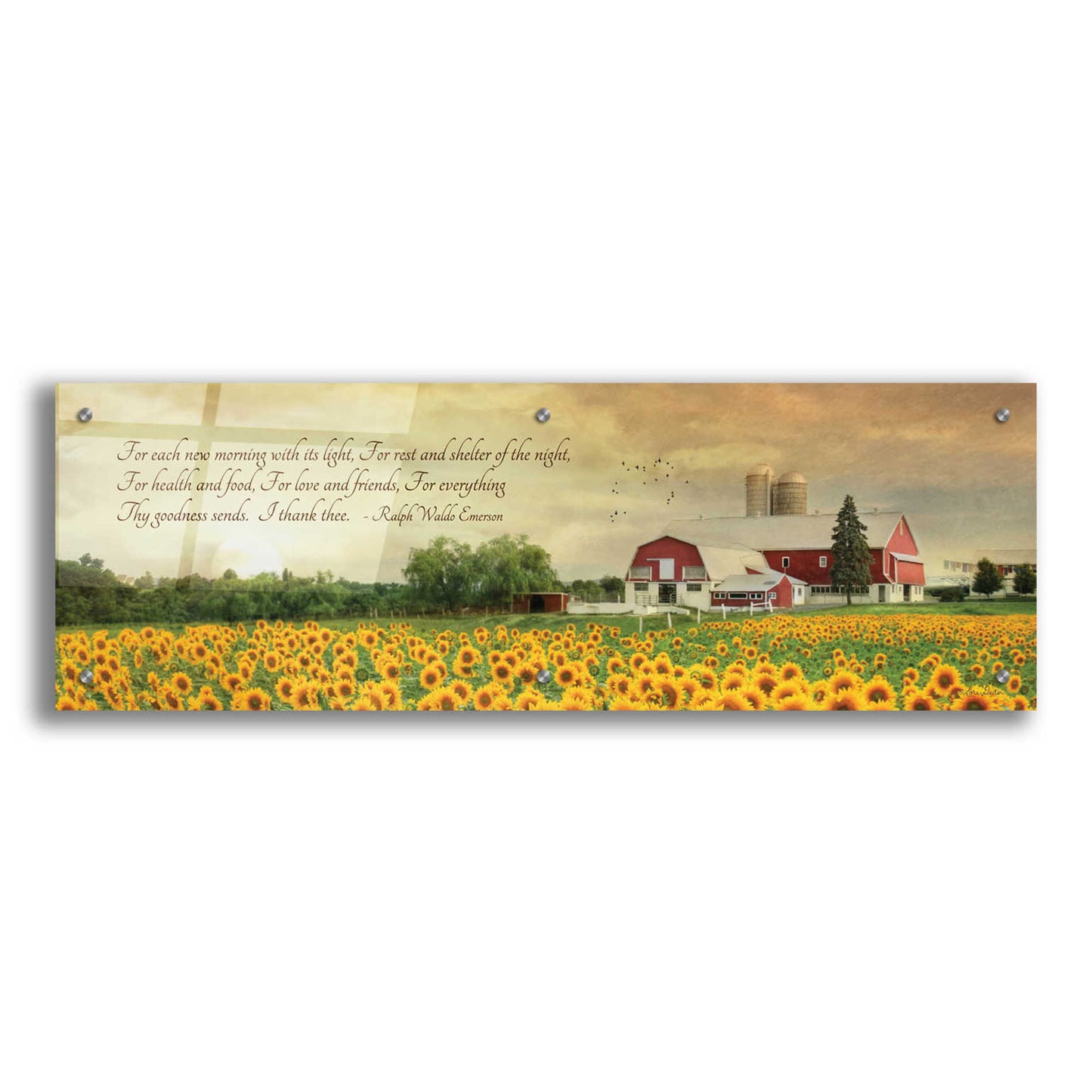 Epic Art 'I Thank Thee' by Lori Deiter Acrylic Glass Wall Art,36x12