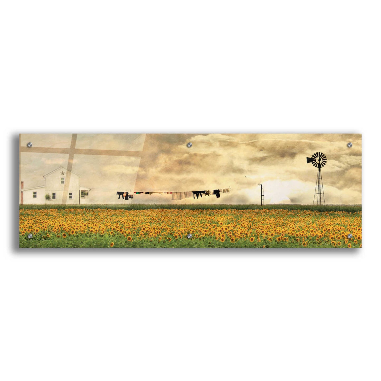 Epic Art 'Laundry Day' by Lori Deiter Acrylic Glass Wall Art,36x12