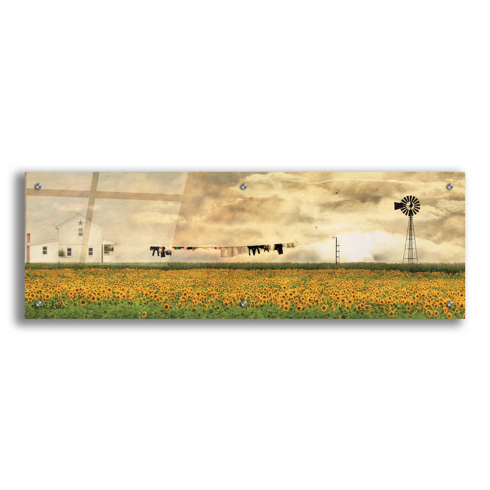 Epic Art 'Laundry Day' by Lori Deiter Acrylic Glass Wall Art,36x12