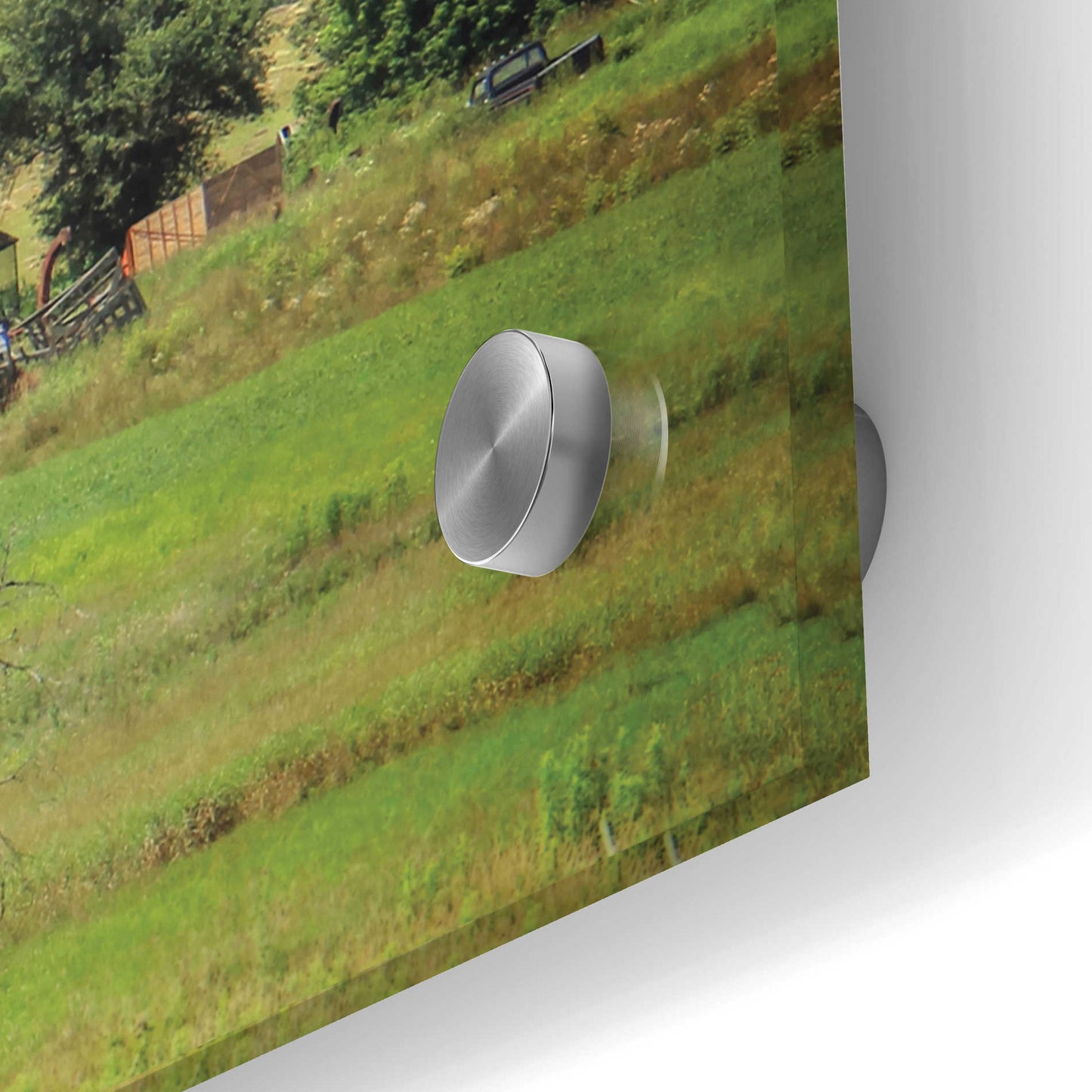 Epic Art 'Grazing Sheet' by Lori Deiter Acrylic Glass Wall Art,36x12