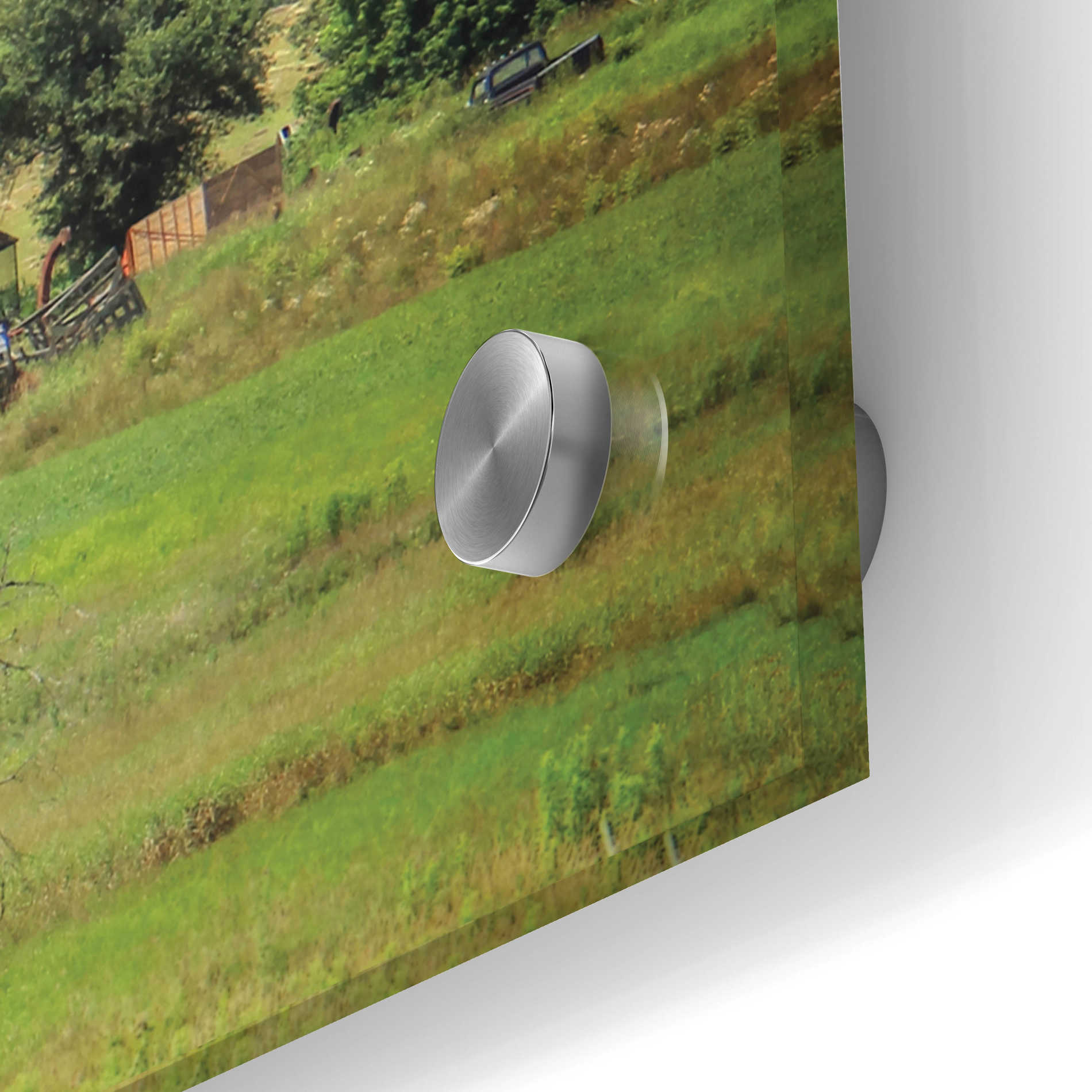 Epic Art 'Grazing Sheet' by Lori Deiter Acrylic Glass Wall Art,36x12