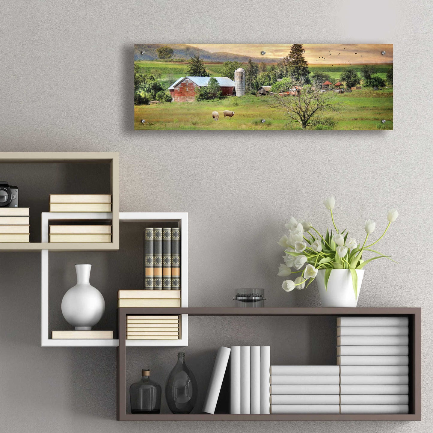 Epic Art 'Grazing Sheet' by Lori Deiter Acrylic Glass Wall Art,36x12