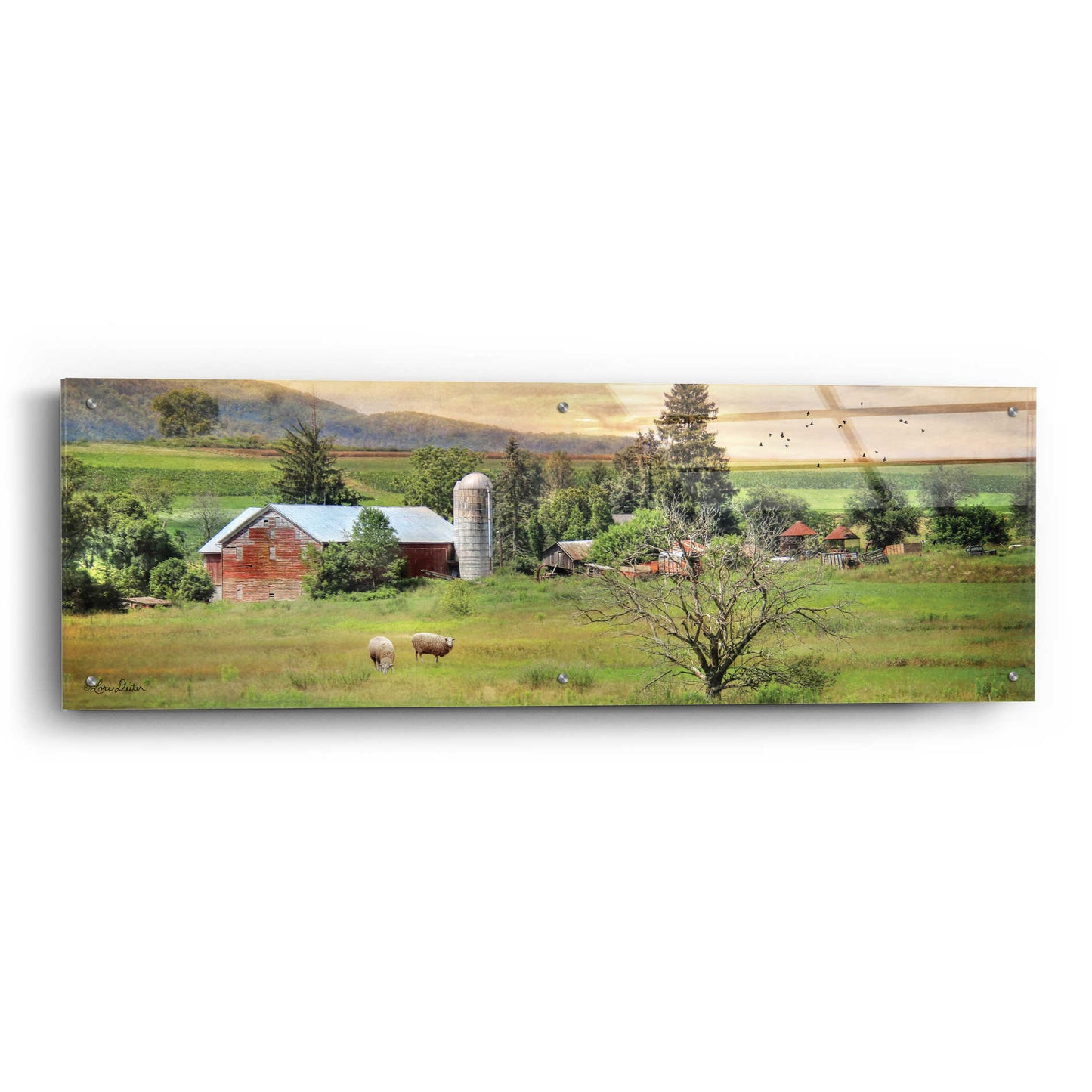Epic Art 'Grazing Sheet' by Lori Deiter Acrylic Glass Wall Art,48x16