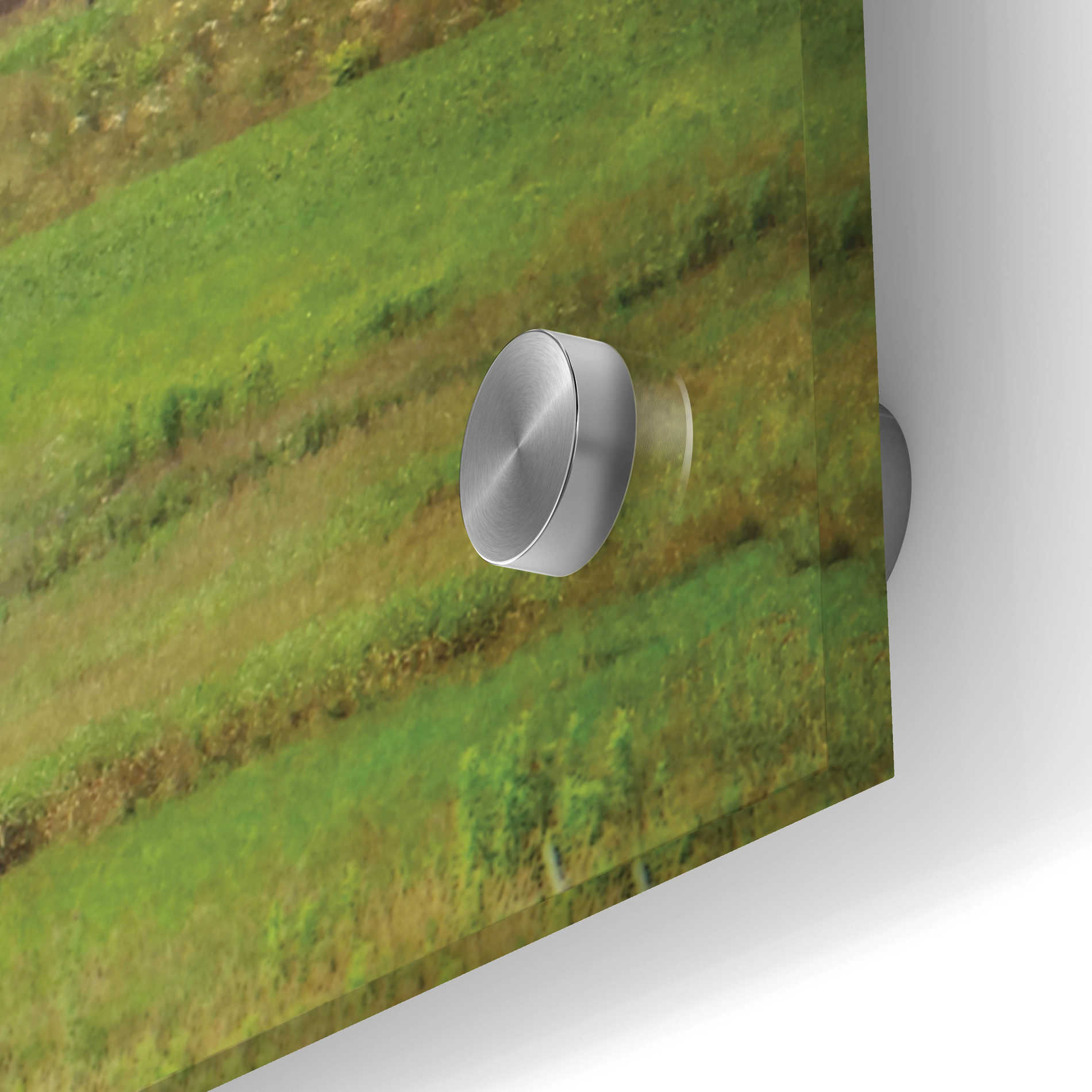 Epic Art 'Grazing Sheet' by Lori Deiter Acrylic Glass Wall Art,48x16