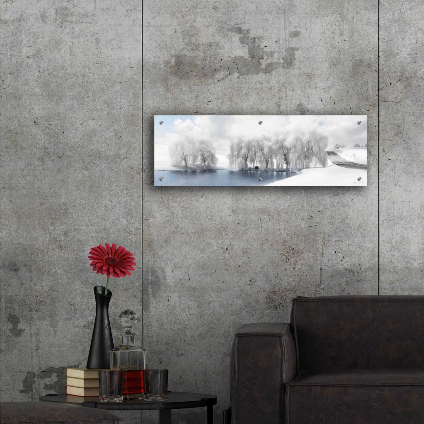 Epic Art 'Winter Willow' by Lori Deiter Acrylic Glass Wall Art,36x12