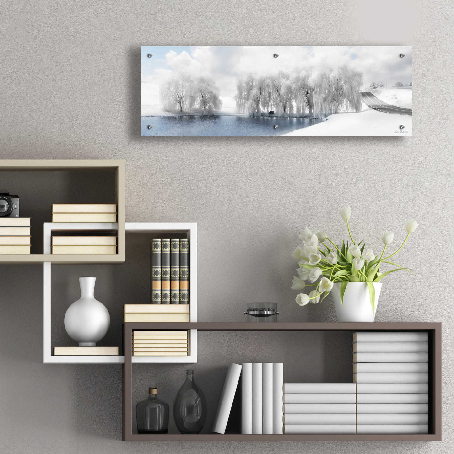 Epic Art 'Winter Willow' by Lori Deiter Acrylic Glass Wall Art,36x12