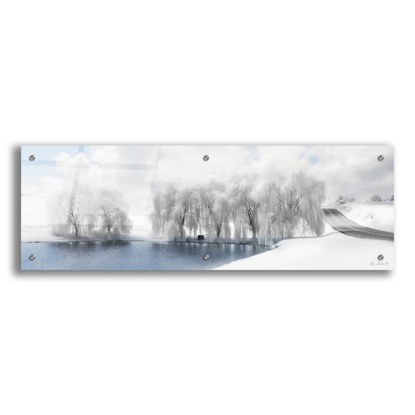 Epic Art 'Winter Willow' by Lori Deiter Acrylic Glass Wall Art,36x12