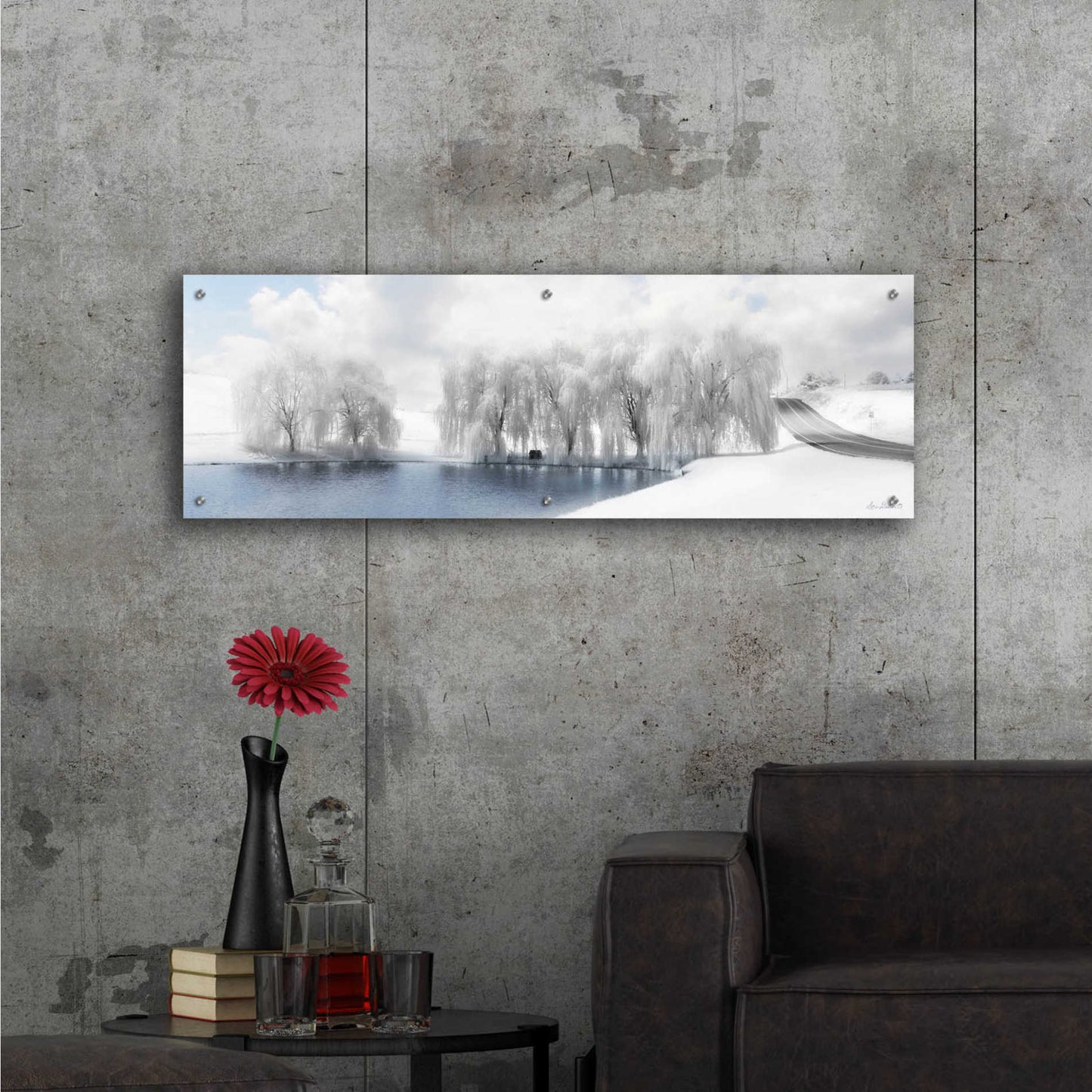 Epic Art 'Winter Willow' by Lori Deiter Acrylic Glass Wall Art,48x16