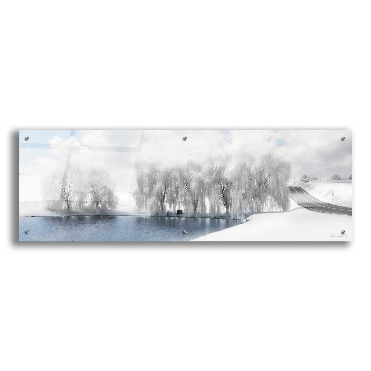 Epic Art 'Winter Willow' by Lori Deiter Acrylic Glass Wall Art,48x16