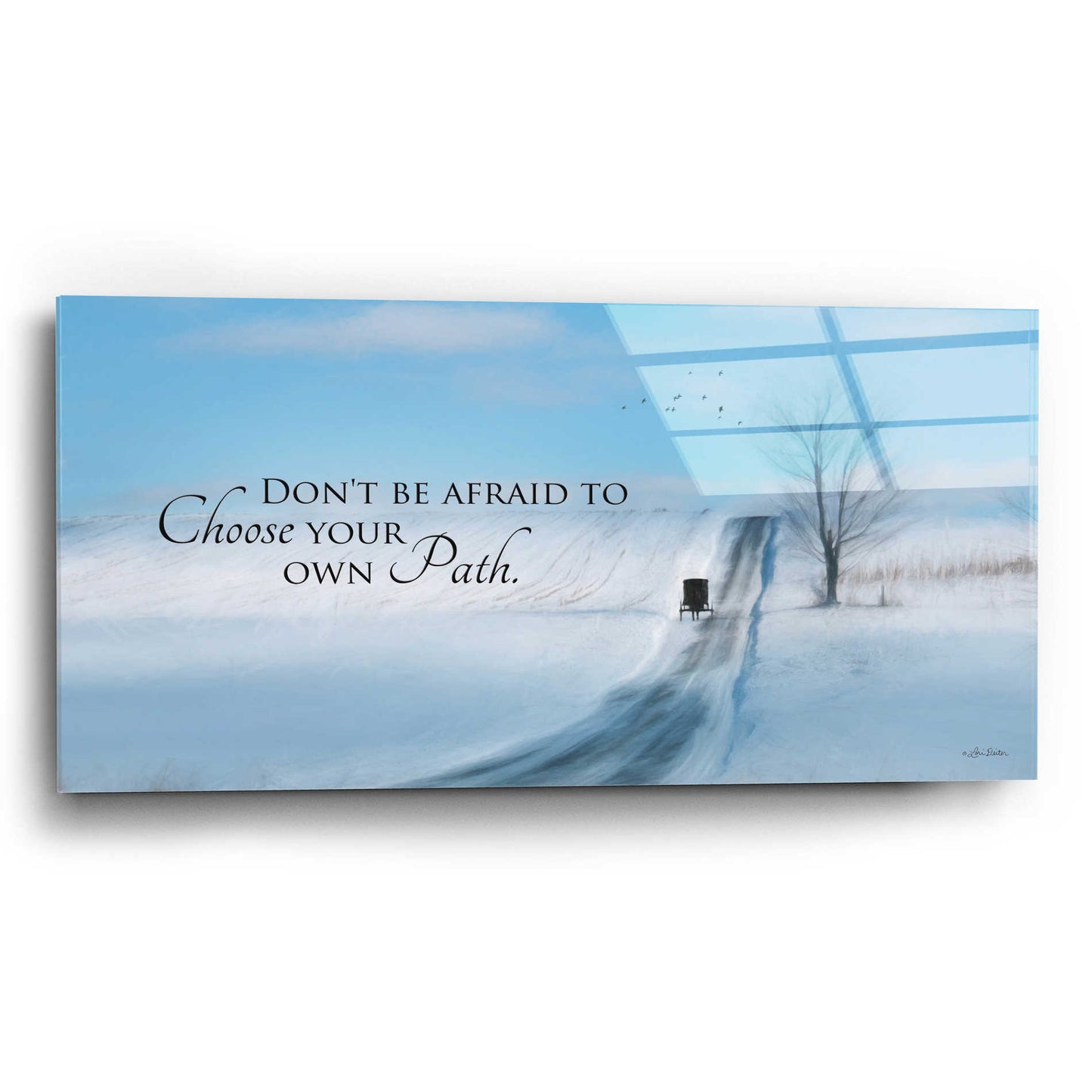 Epic Art 'Choose Your Own Path' by Lori Deiter Acrylic Glass Wall Art,24x12