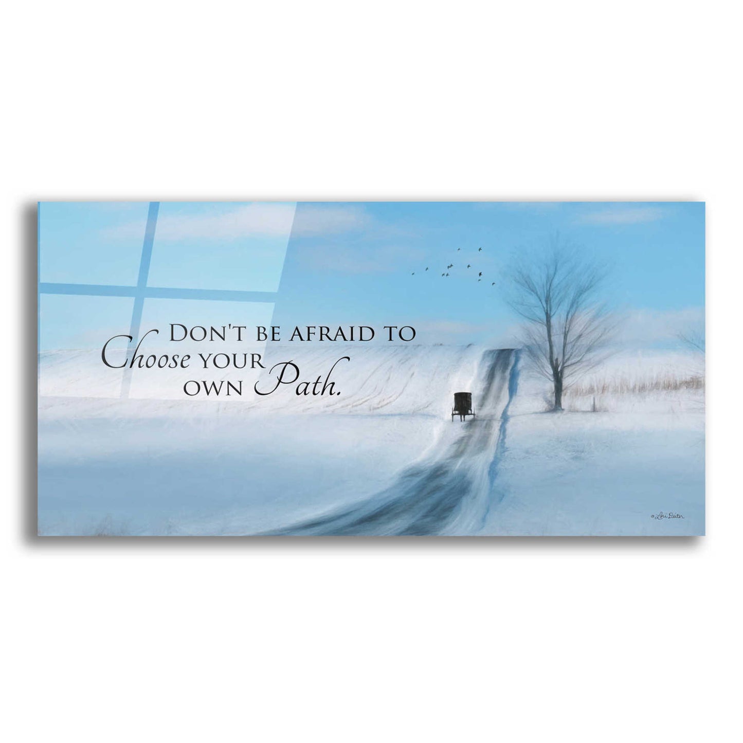 Epic Art 'Choose Your Own Path' by Lori Deiter Acrylic Glass Wall Art,24x12