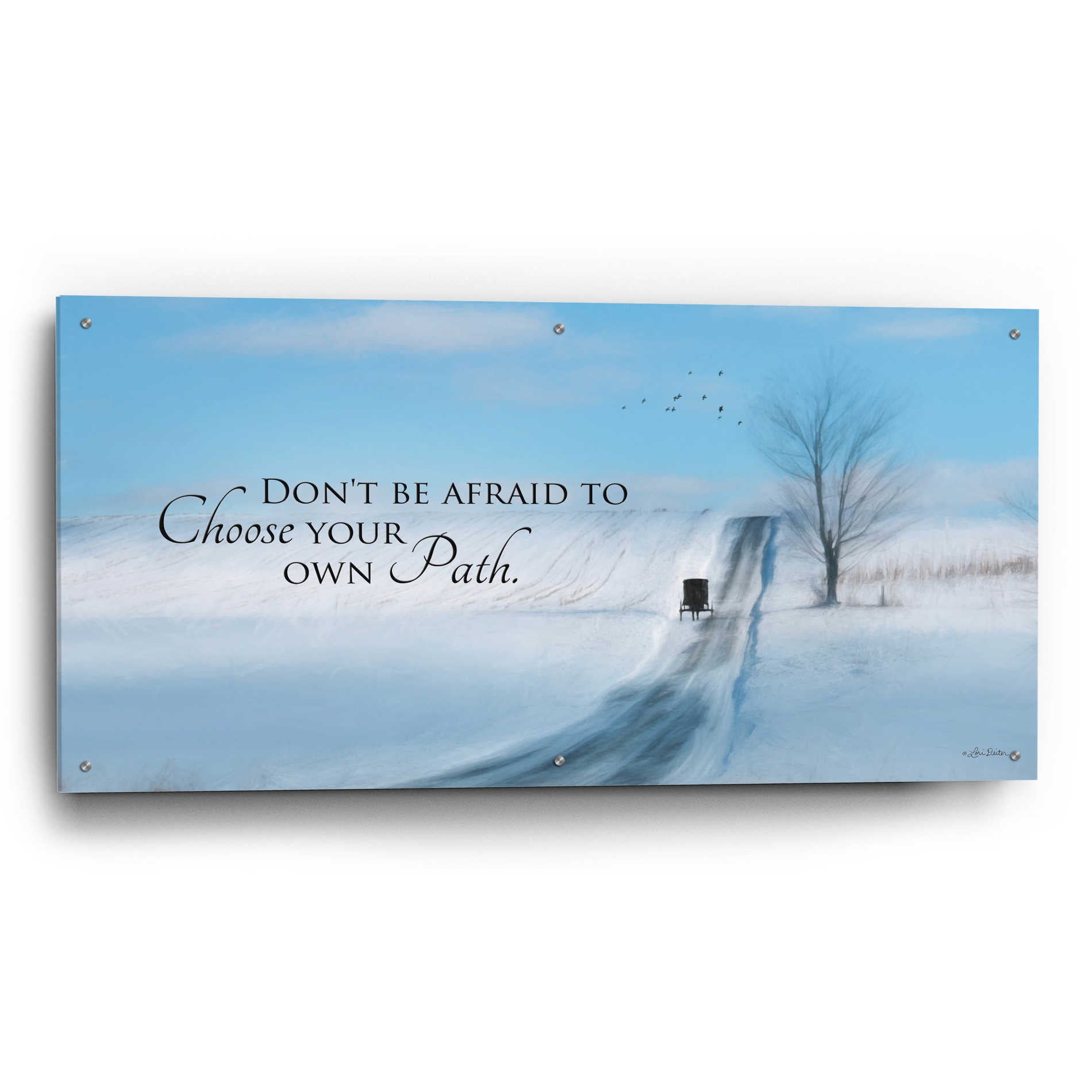 Epic Art 'Choose Your Own Path' by Lori Deiter Acrylic Glass Wall Art,48x24