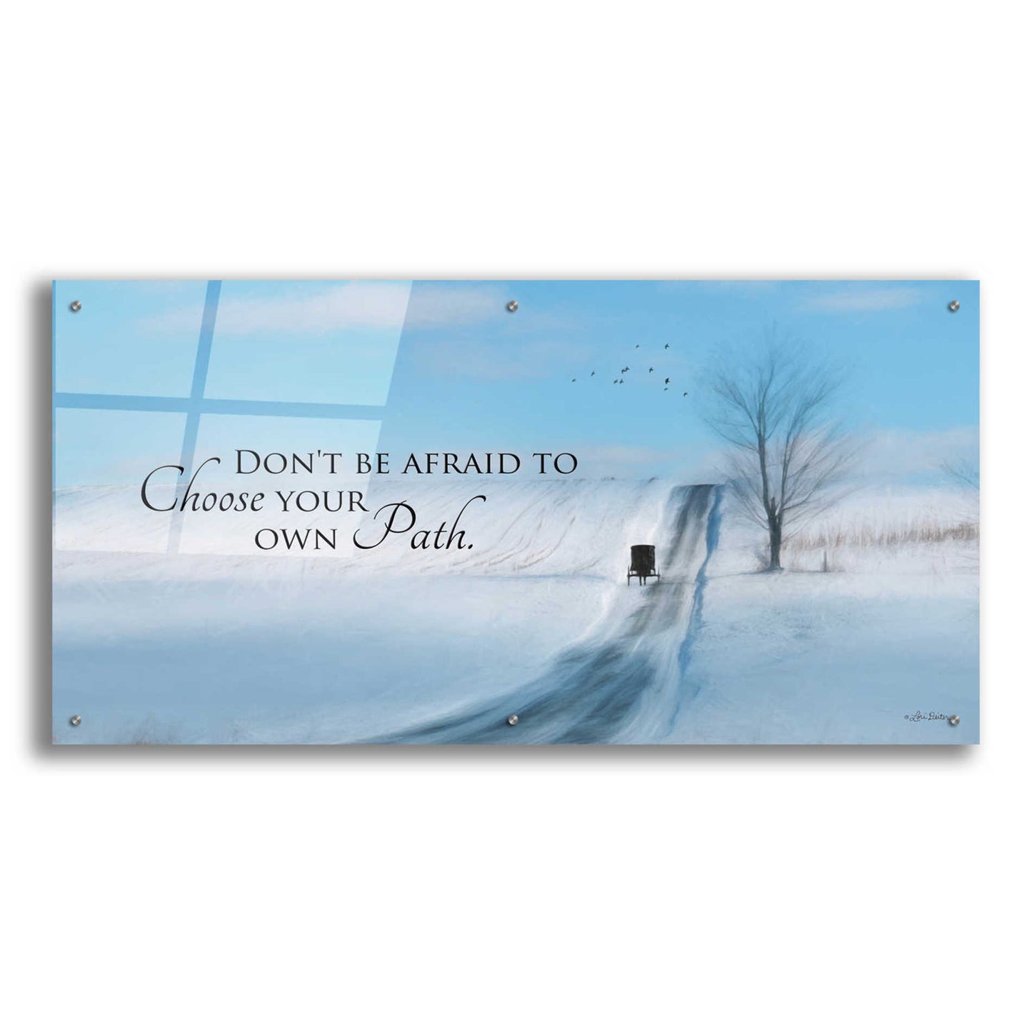 Epic Art 'Choose Your Own Path' by Lori Deiter Acrylic Glass Wall Art,48x24