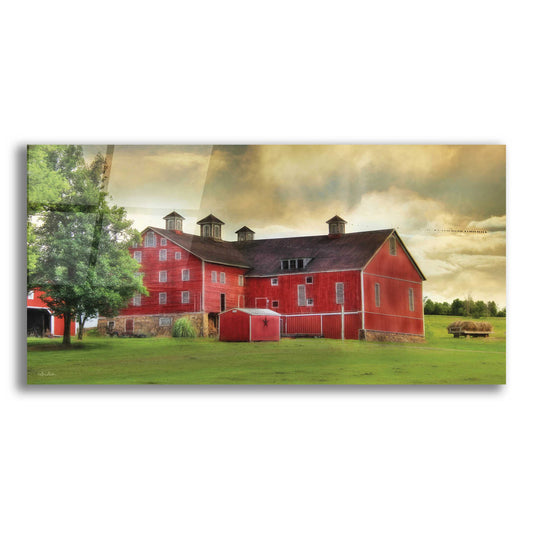 Epic Art 'Aging Gracefully' by Lori Deiter Acrylic Glass Wall Art,2:1