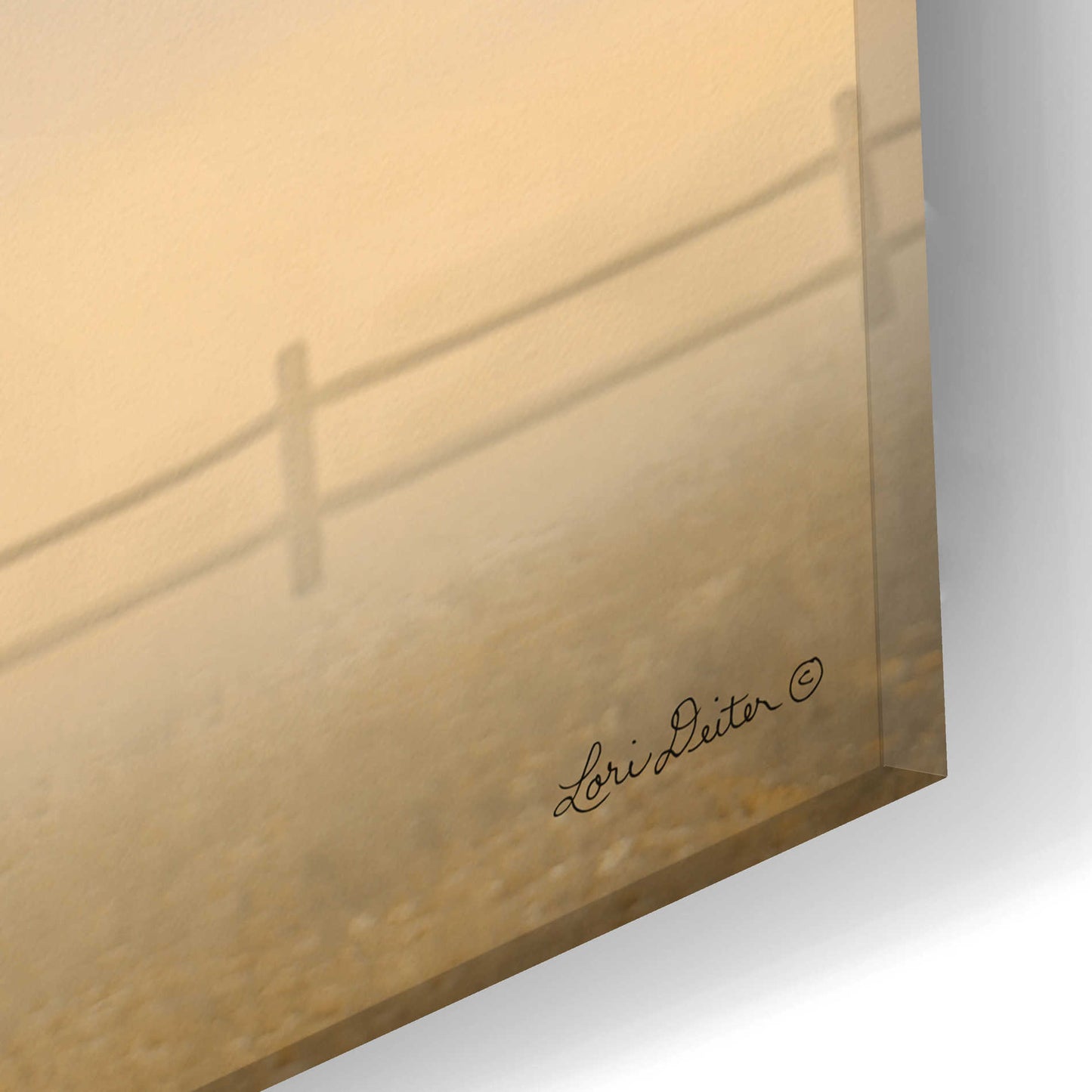 Epic Art 'Daily Prayer' by Lori Deiter Acrylic Glass Wall Art,24x12