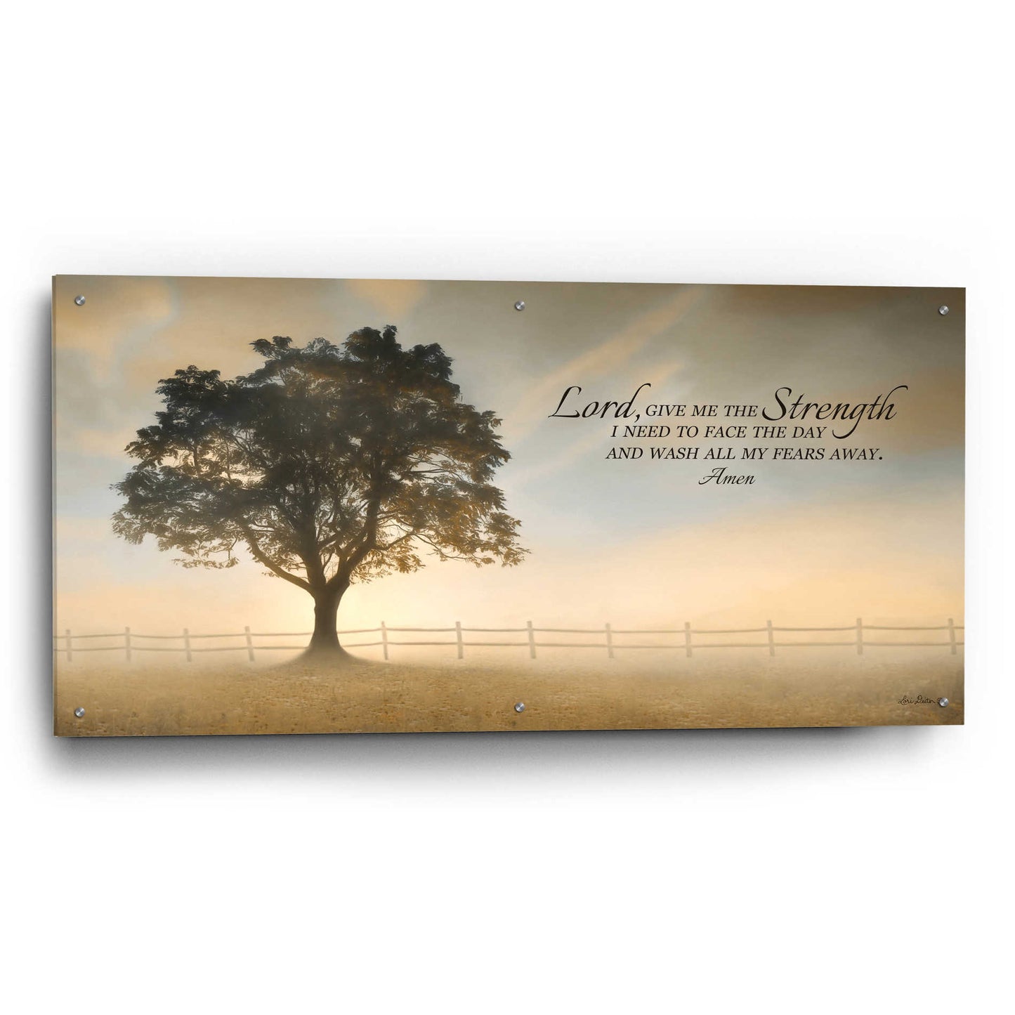 Epic Art 'Daily Prayer' by Lori Deiter Acrylic Glass Wall Art,48x24