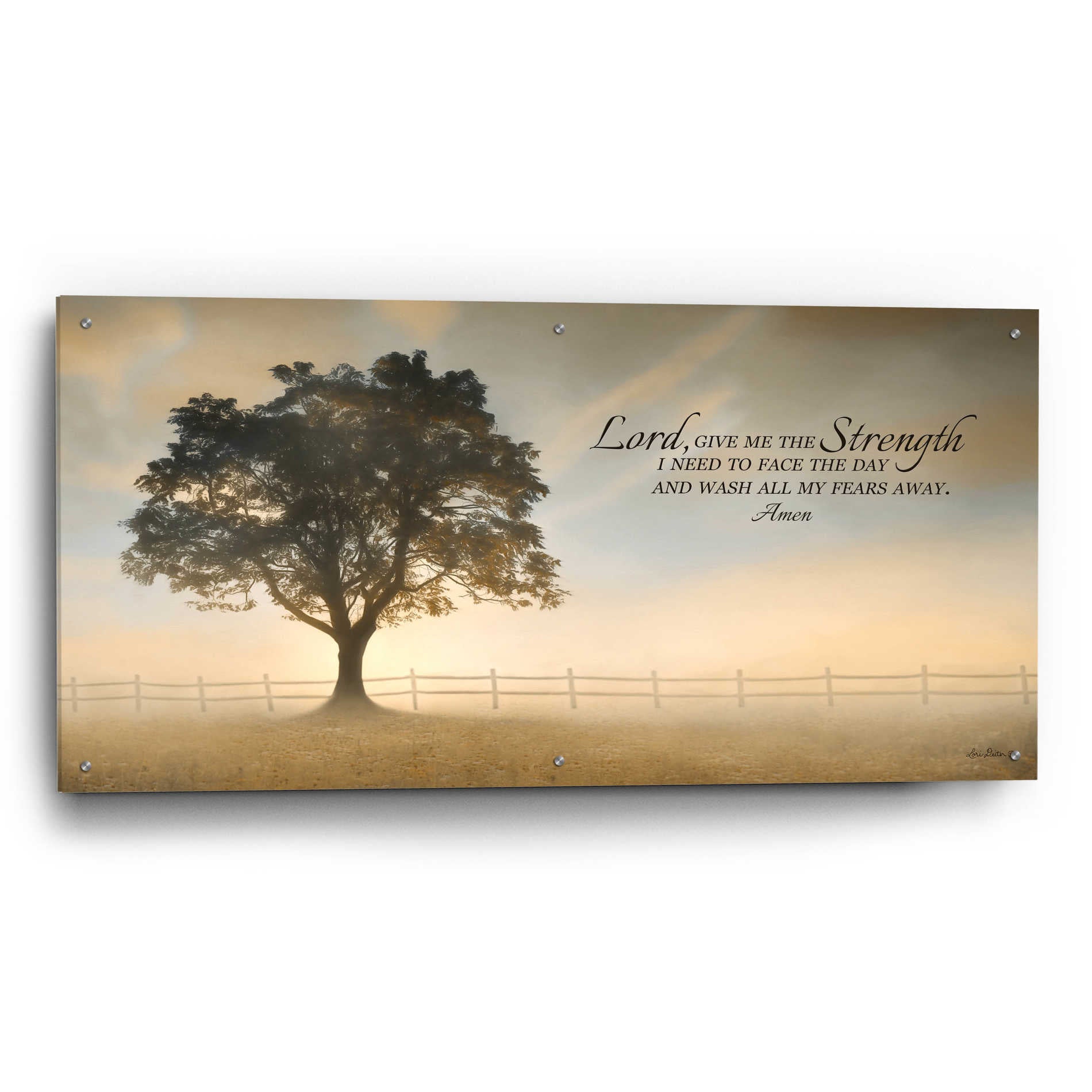 Epic Art 'Daily Prayer' by Lori Deiter Acrylic Glass Wall Art,48x24