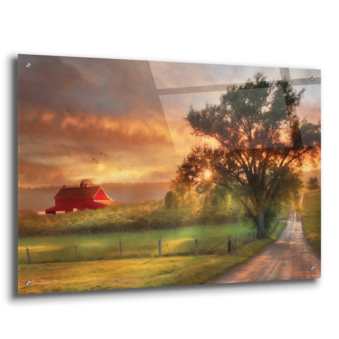 Epic Art 'Country Lane Sunset' by Lori Deiter Acrylic Glass Wall Art,36x24