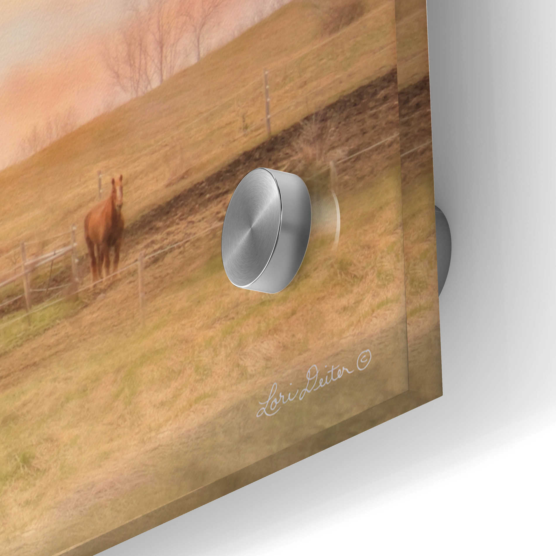 Epic Art 'Horse Farm' by Lori Deiter Acrylic Glass Wall Art,36x12