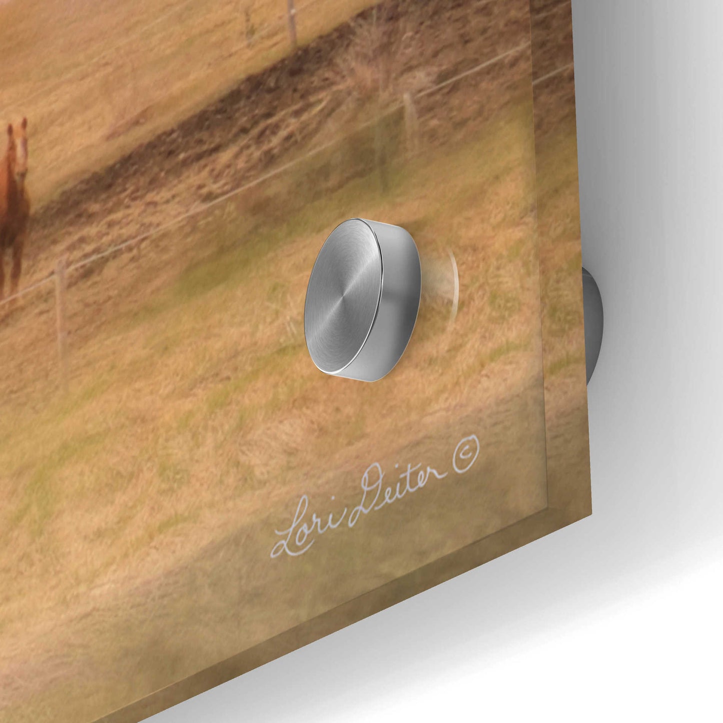 Epic Art 'Horse Farm' by Lori Deiter Acrylic Glass Wall Art,48x16