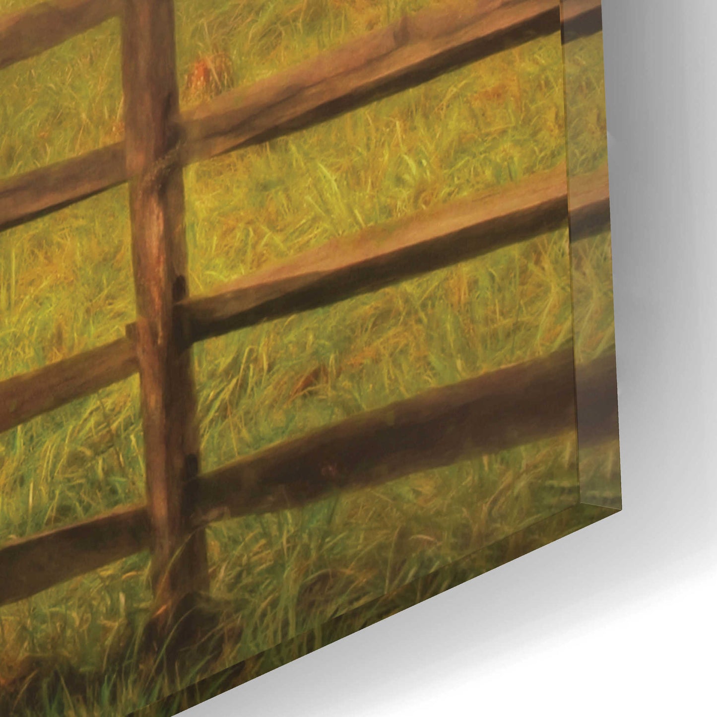 Epic Art 'Graze On' by Lori Deiter Acrylic Glass Wall Art,16x12