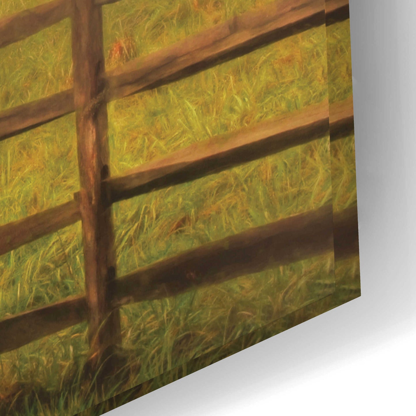 Epic Art 'Graze On' by Lori Deiter Acrylic Glass Wall Art,24x16