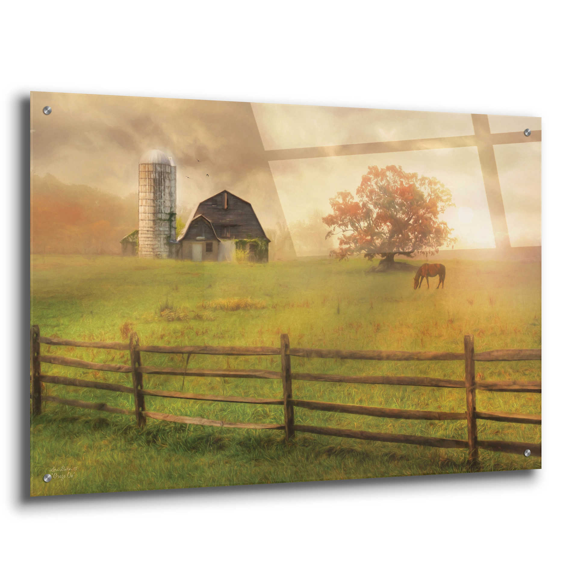 Epic Art 'Graze On' by Lori Deiter Acrylic Glass Wall Art,36x24