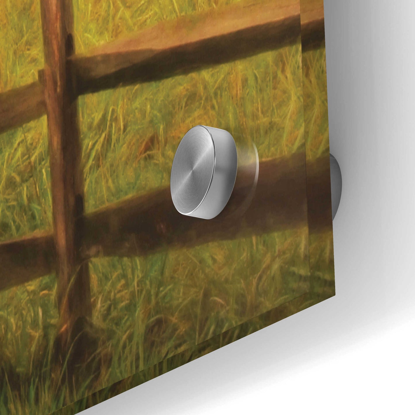 Epic Art 'Graze On' by Lori Deiter Acrylic Glass Wall Art,36x24