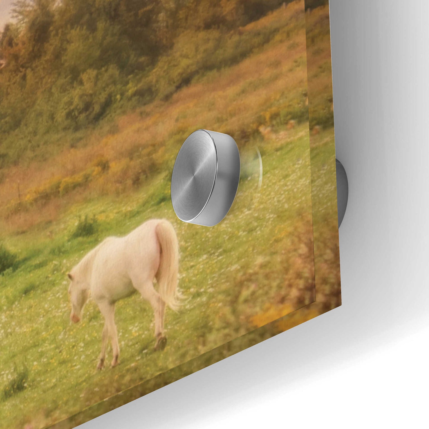 Epic Art 'Clayton Barnyard' by Lori Deiter Acrylic Glass Wall Art,36x12