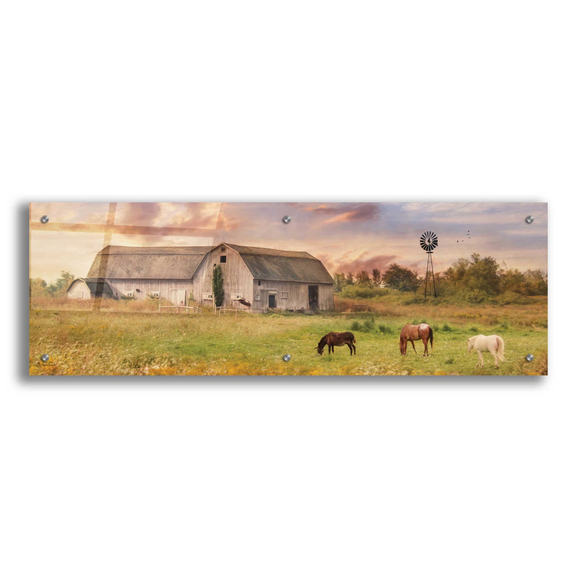 Epic Art 'Clayton Barnyard' by Lori Deiter Acrylic Glass Wall Art,36x12
