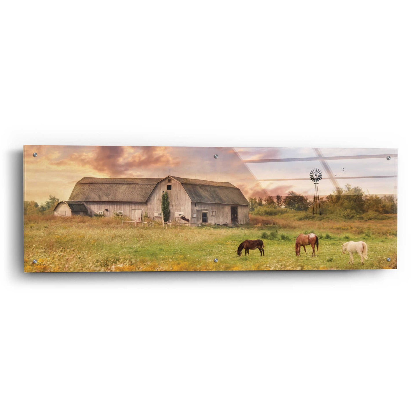 Epic Art 'Clayton Barnyard' by Lori Deiter Acrylic Glass Wall Art,48x16