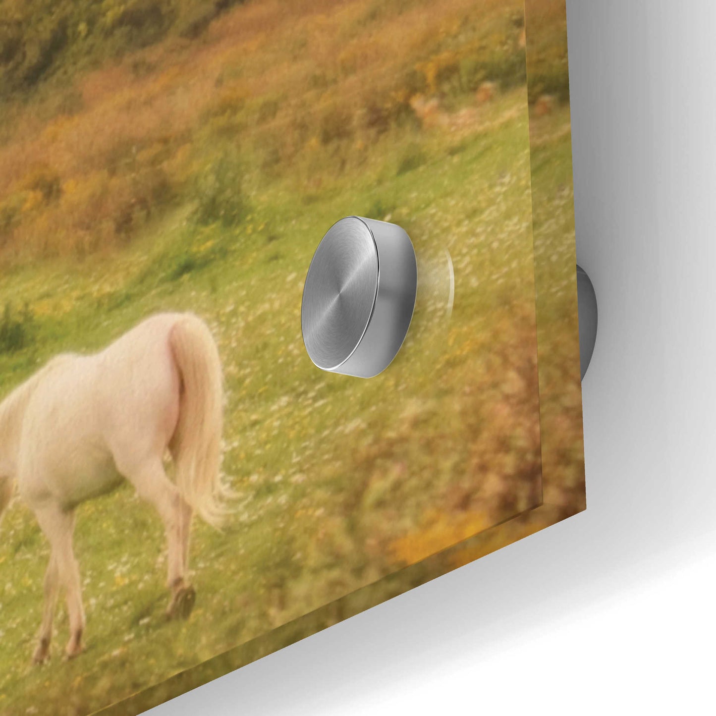 Epic Art 'Clayton Barnyard' by Lori Deiter Acrylic Glass Wall Art,48x16