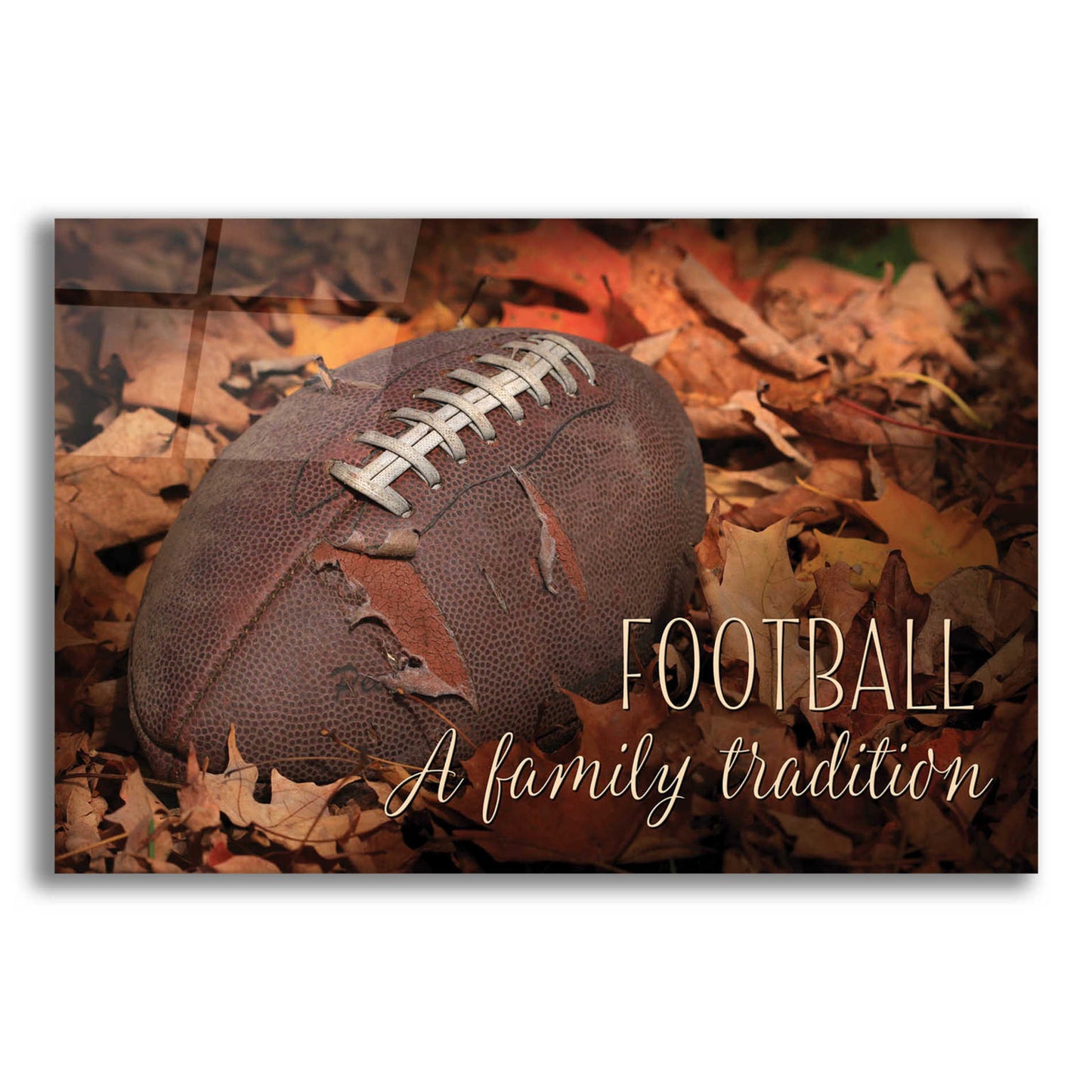 Epic Art 'Football - A Family Tradition' by Lori Deiter Acrylic Glass Wall Art,16x12