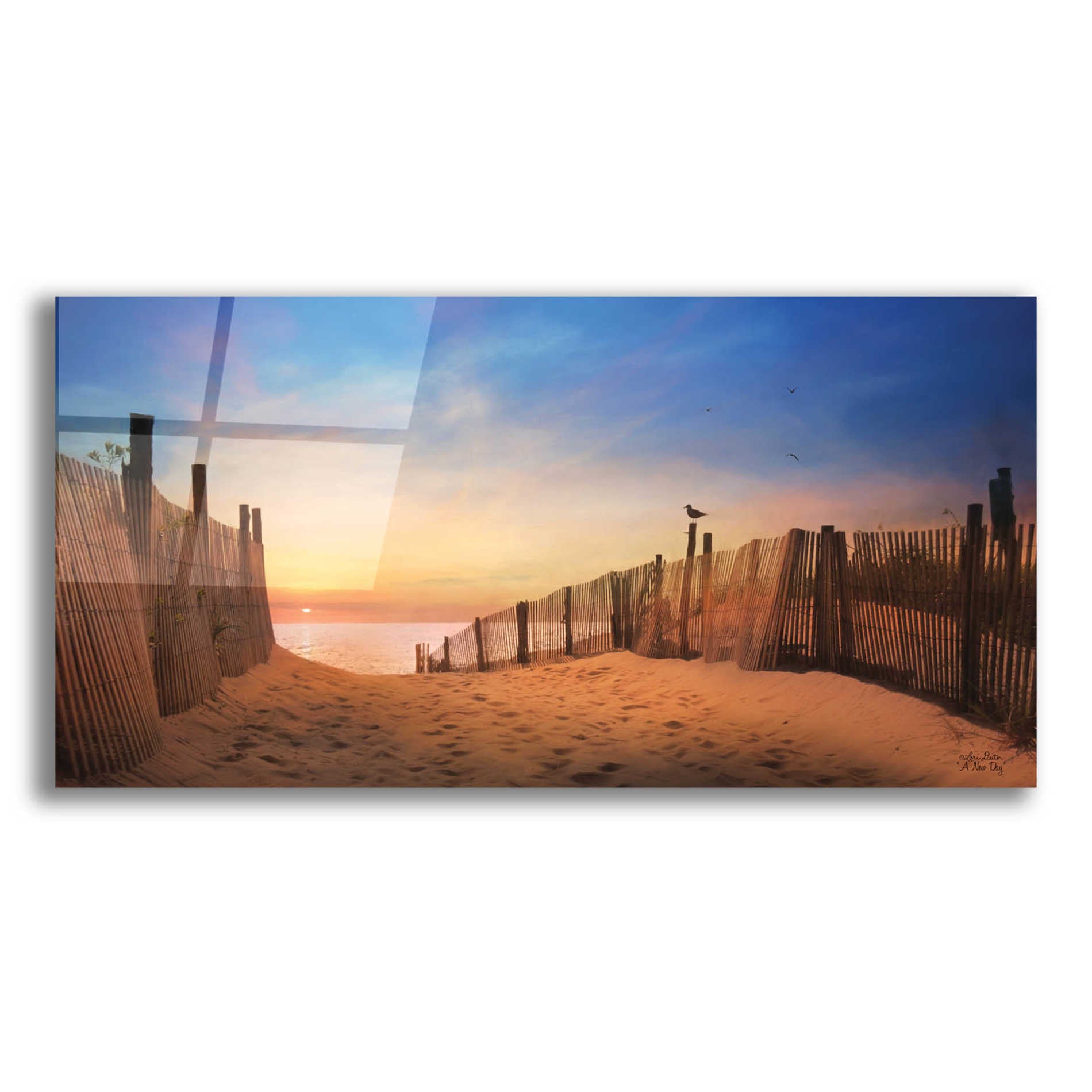 Epic Art 'A New Day' by Lori Deiter Acrylic Glass Wall Art,24x12