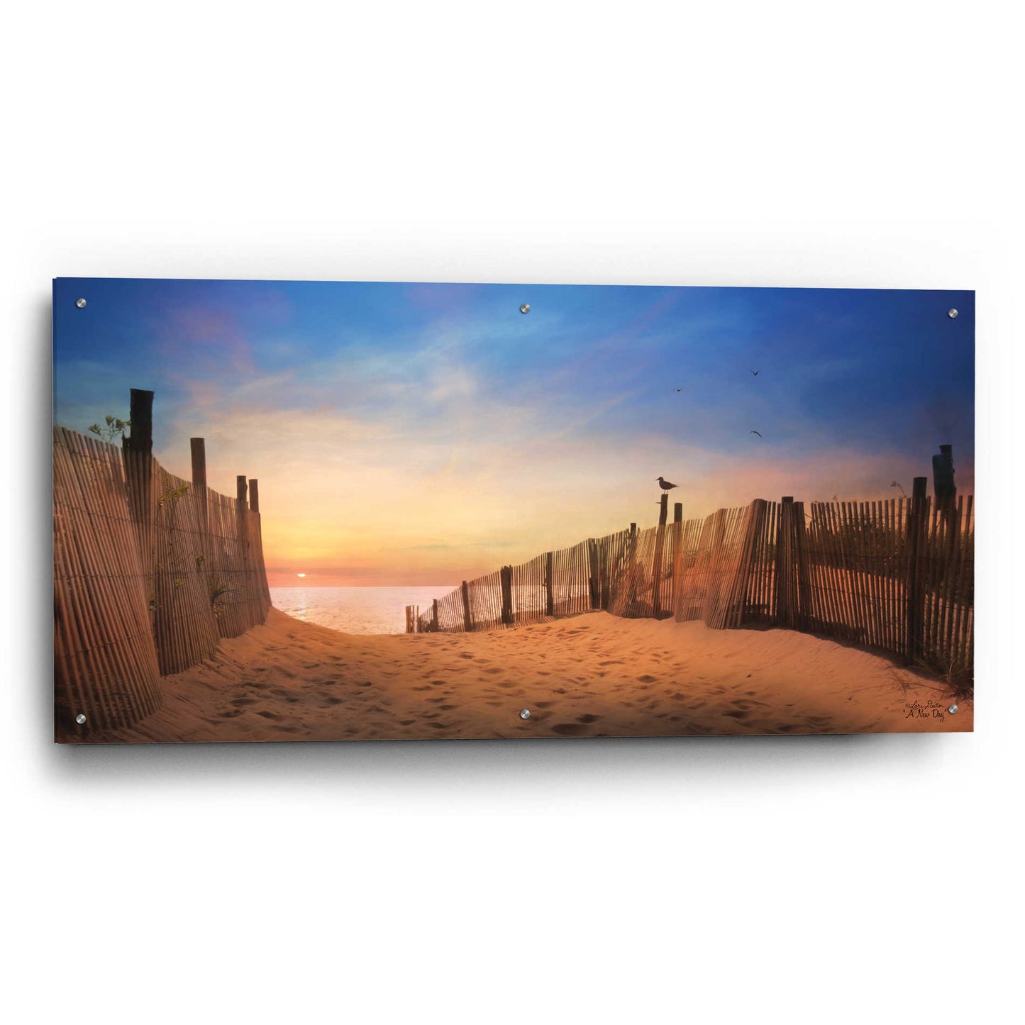 Epic Art 'A New Day' by Lori Deiter Acrylic Glass Wall Art,48x24