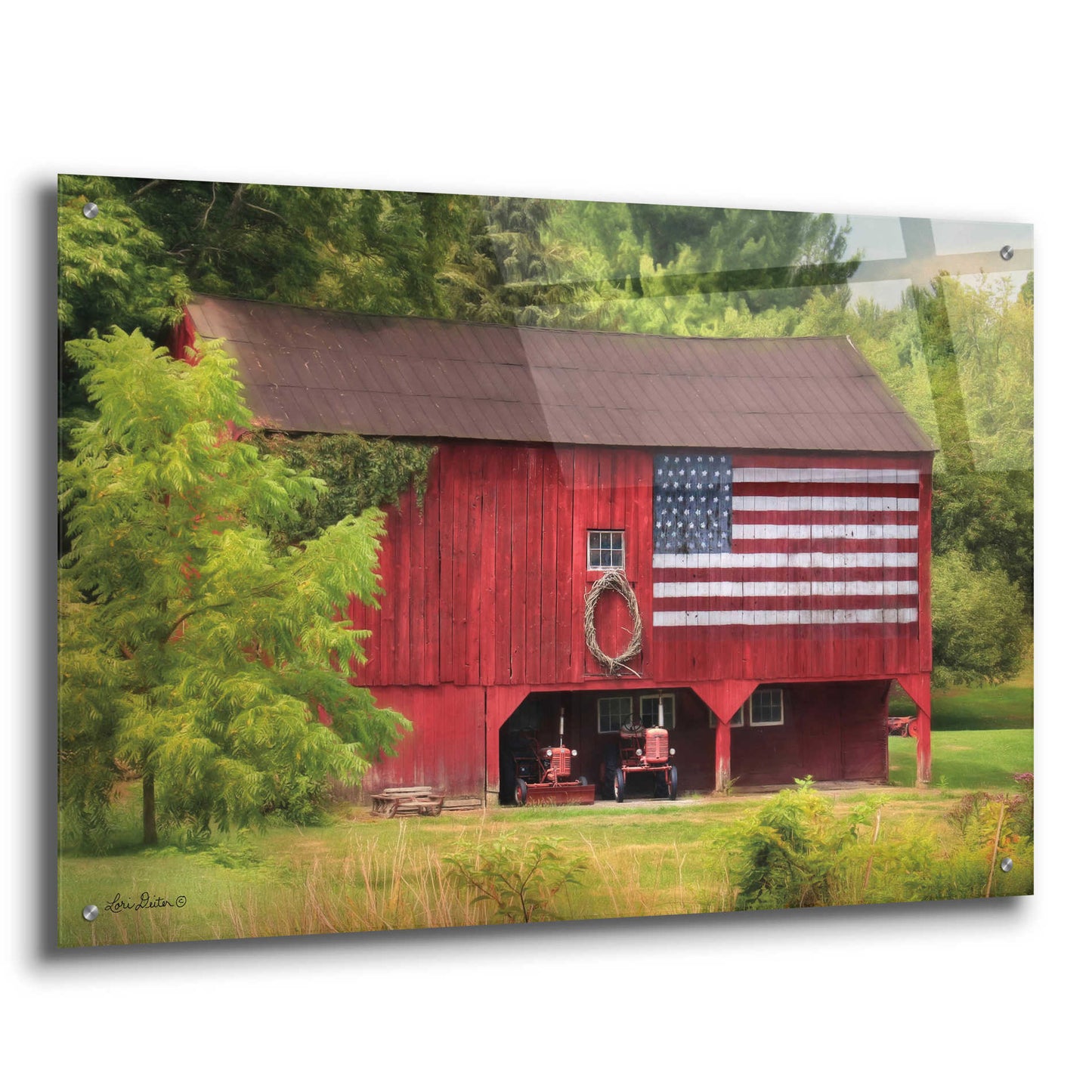 Epic Art 'Patriotic Farmer' by Lori Deiter Acrylic Glass Wall Art,36x24