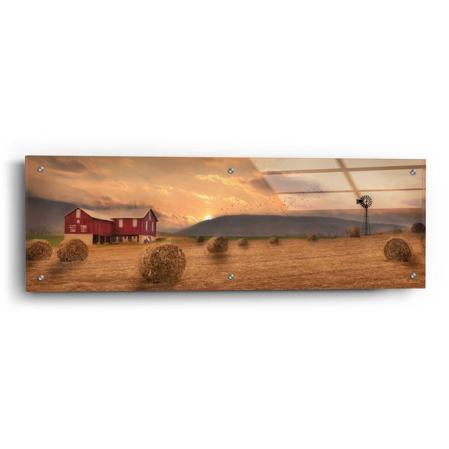 Epic Art 'Workin' the Farm' by Lori Deiter Acrylic Glass Wall Art,36x12