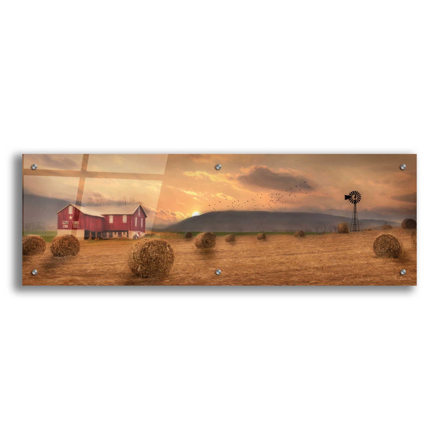 Epic Art 'Workin' the Farm' by Lori Deiter Acrylic Glass Wall Art,36x12