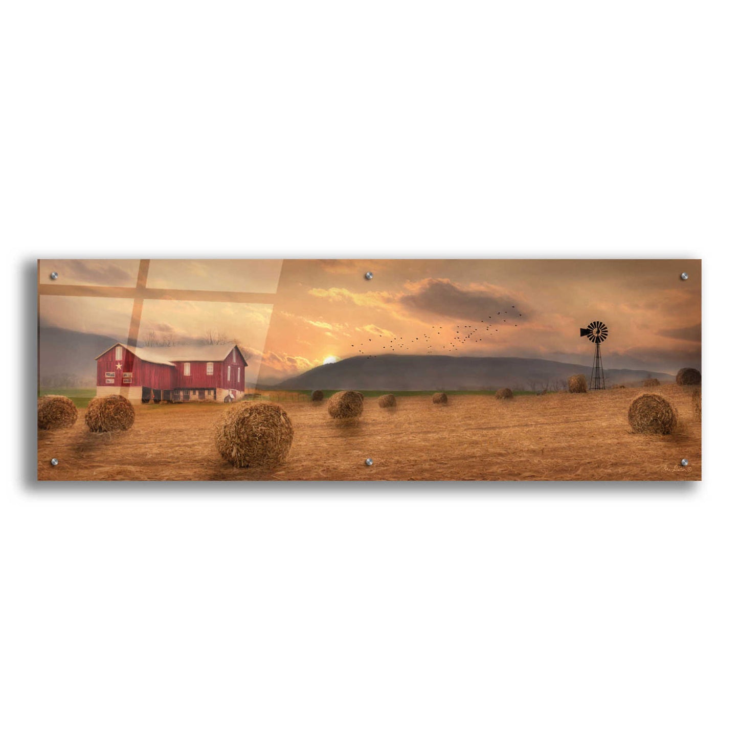 Epic Art 'Workin' the Farm' by Lori Deiter Acrylic Glass Wall Art,48x16