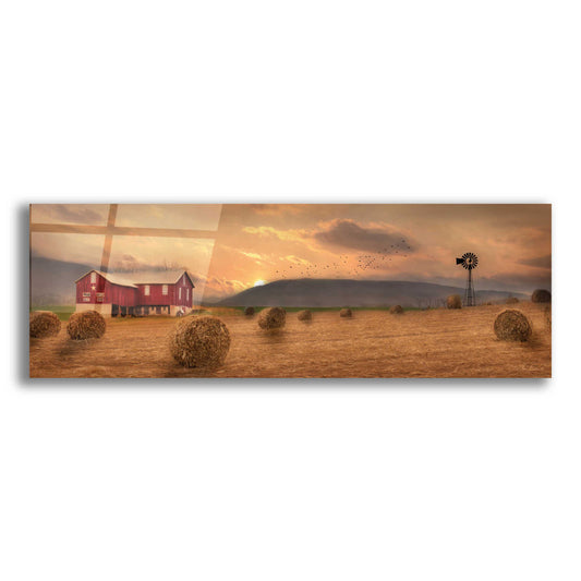 Epic Art 'Workin' the Farm' by Lori Deiter Acrylic Glass Wall Art,3:1