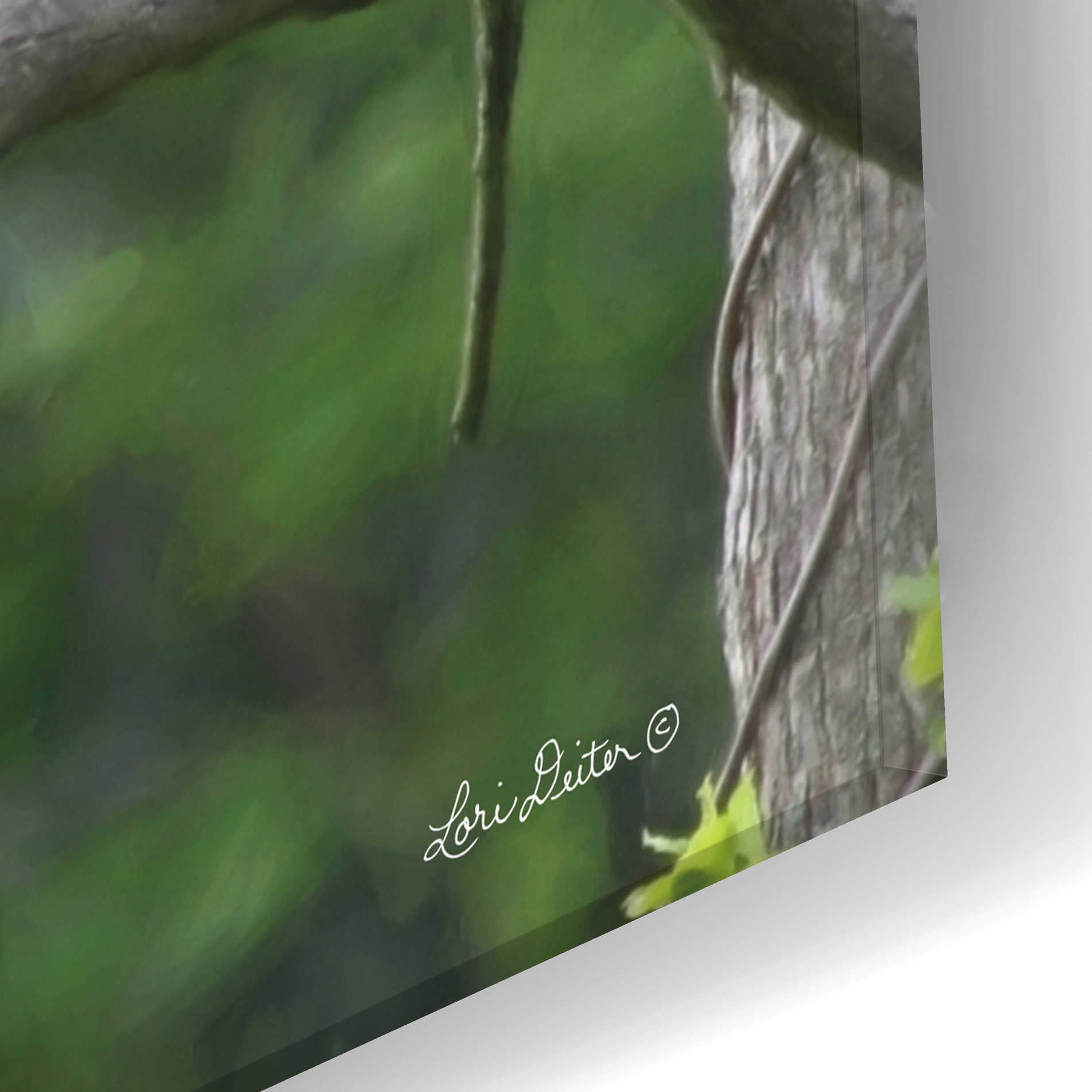 Epic Art 'Visitor from Heaven' by Lori Deiter Acrylic Glass Wall Art,24x12