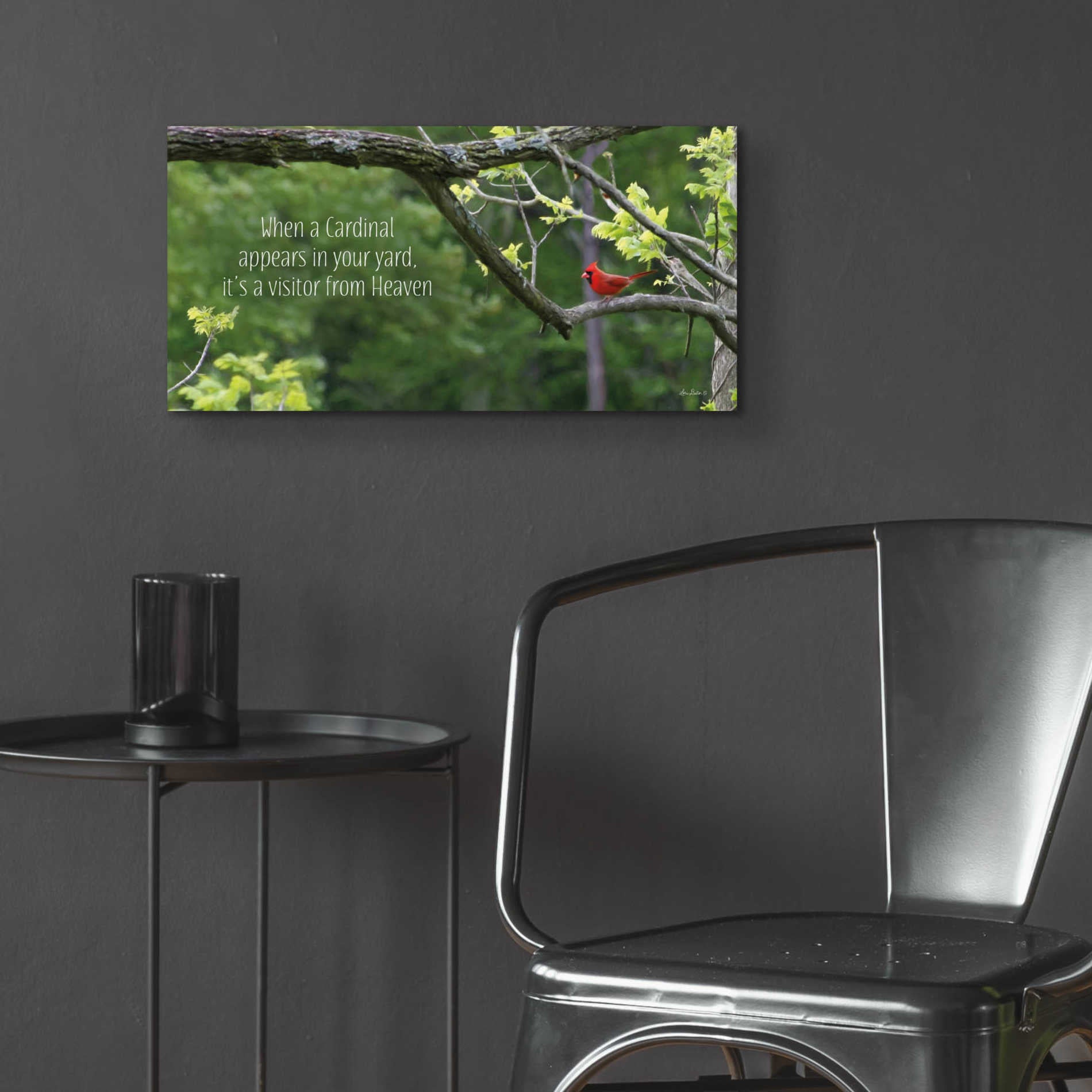 Epic Art 'Visitor from Heaven' by Lori Deiter Acrylic Glass Wall Art,24x12