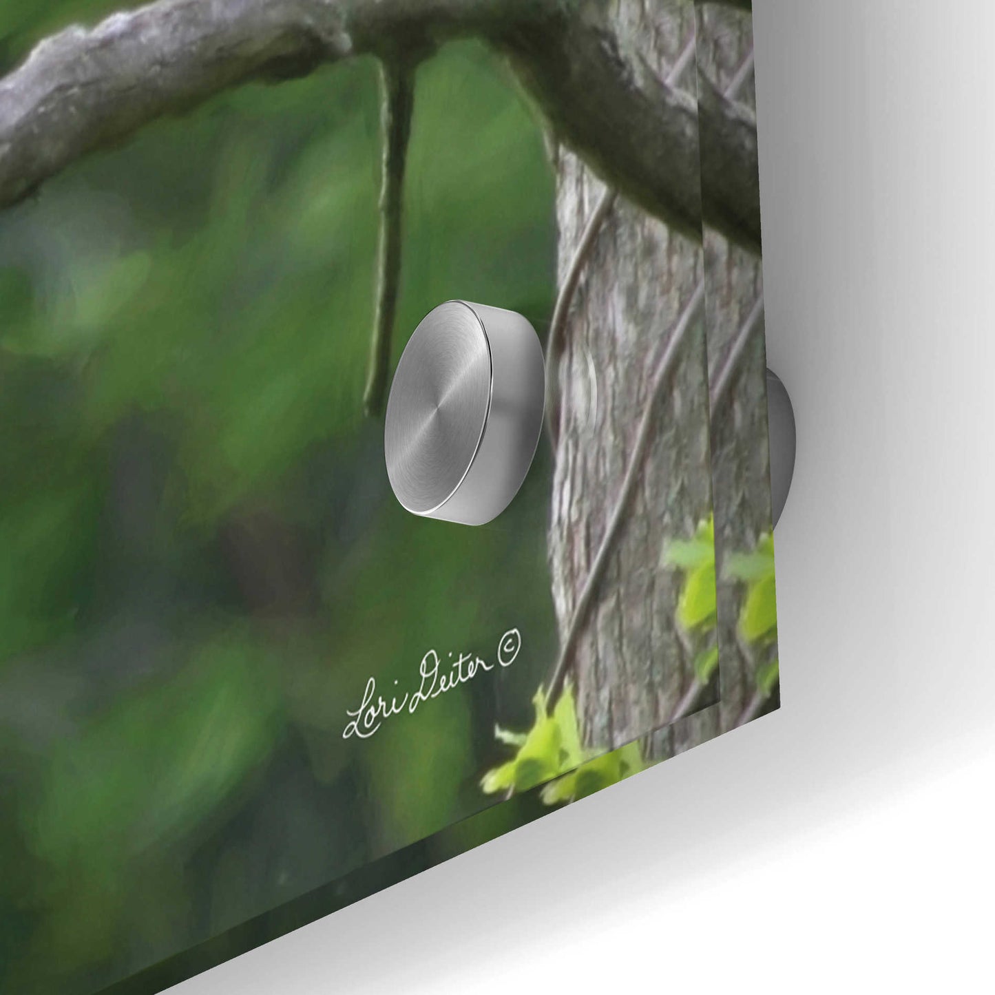 Epic Art 'Visitor from Heaven' by Lori Deiter Acrylic Glass Wall Art,48x24